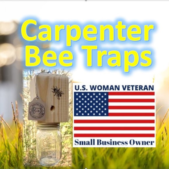 COPY - 2 Pack Carpenter Bee Traps - Picture 1 of 3